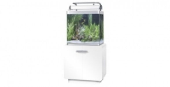 Aquarium Osaka 155 B 140 L