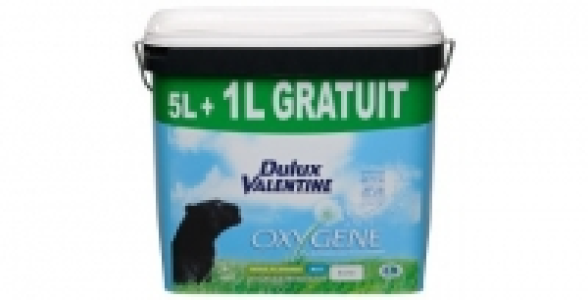 Peinture blanc mat 5L+1 L gratuit DULUX VALENTINE Oxygène