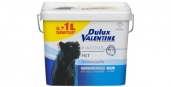 Peinture plafond blanc 5L+1 L gratuit DULUX VALENTINE Plafond Net