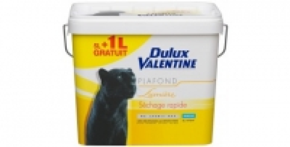 Peinture plafond blanc mat 5L+1 L DULUX VALENTINE Plafond Lumière