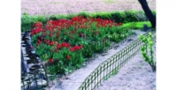 Bordure grillag&eacute;e verte L.25 m x h.0,25 m Jardinet