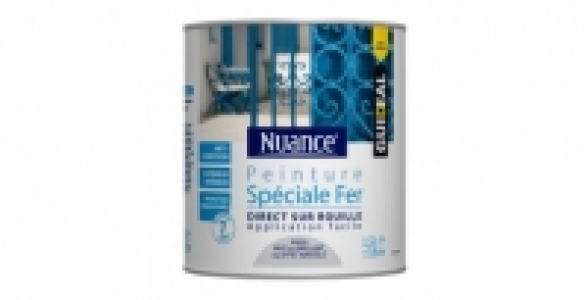 Bricomarche  Peinture fer 1,5L blanc brillant NUANCE