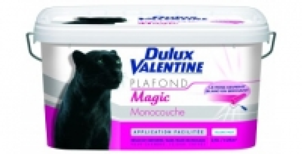 Peinture plafond blanc 2,5L DULUX VALENTINE Plafond Magic