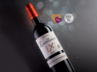 Blaye C&ocirc;tes de Bordeaux Excellence IX 2012 AOC