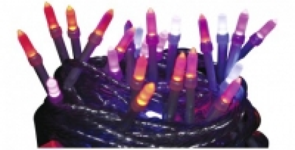 Guirlande &eacute;lectrique 40 LED anim&eacute;es