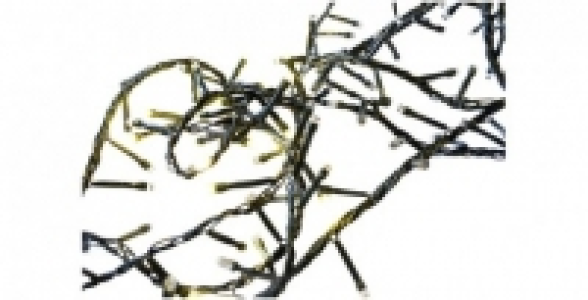 Guirlande &eacute;lectrique 240 LED