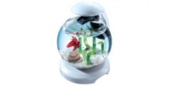 CASCADE GLOBE 6,8 L