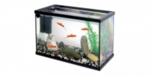 AQUARIUM 20 L TOUT &Eacute;QUIP&Eacute;