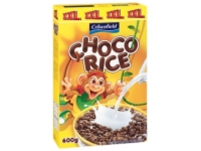Choco rice ou boules au miel1