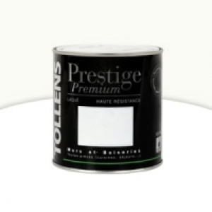 Castorama Tollens Peinture alkyde murs et boiseries Lin satin 0,5L