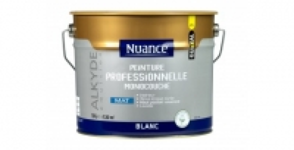 Peinture Professionnelle monocouche blanc mat 10L NUANCE