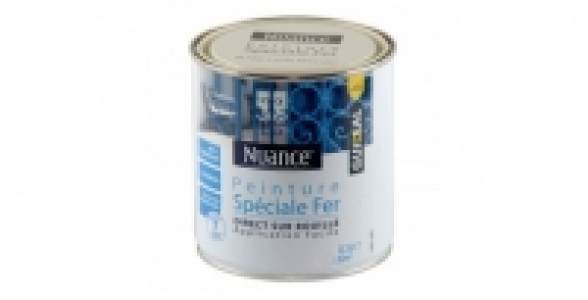 Peinture fer 0,5L blanc cassé brillant NUANCE