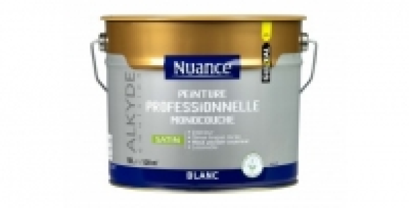 Peinture Professionnelle monocouche blanc satin 10L NUANCE