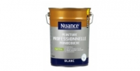 Peinture Professionnelle monocouche blanc satin 5L NUANCE