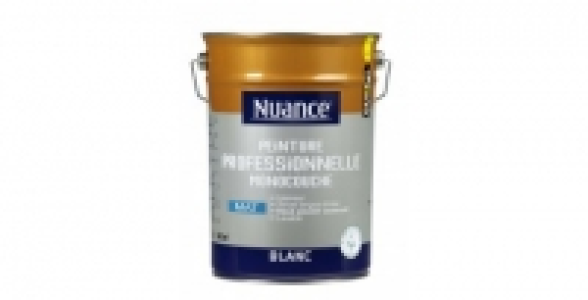 Peinture Professionnelle monocouche blanc mat 5L NUANCE