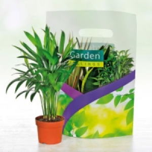 Garden Feelings® Lot de 3 plantes vertes en sac
