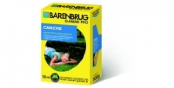 Canche 500 g BARENBRUG