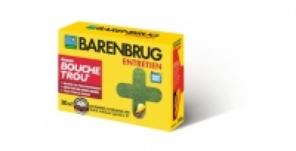 Gazon Bouche Trou 500 g BARENBRUG