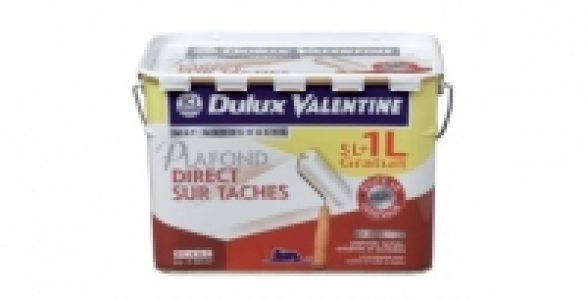 Peinture 5L+1 L blanc DULUX VALENTINE Plafond Direct sur Taches