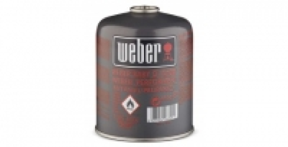 Cartouche de gaz 445 g WEBER