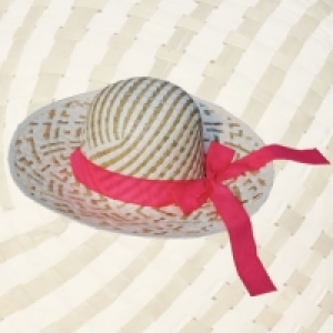 Chapeau de paille 2.99 €