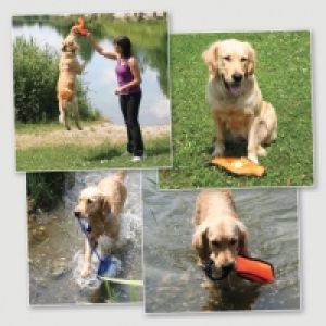 Jouet dextérieur avec bandes réfléchissantes pour chien