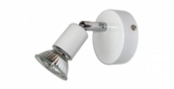 Spot blanc 50 W PERFECTLINE