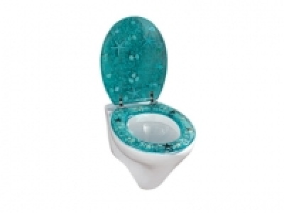 Abattant WC 19.99 €