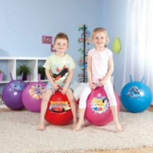 Ballon sauteur 5.99 €