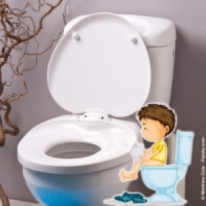 Abattant WC 19.99 €