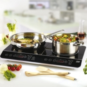 Double plaque à induction 79.99 €