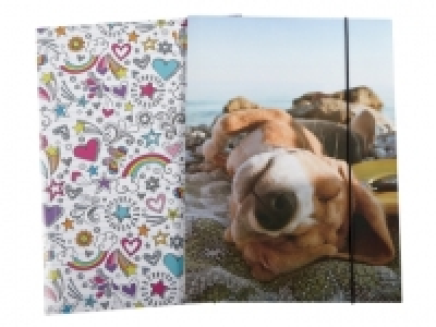 Chemises cartonn&eacute;es A3 et A4