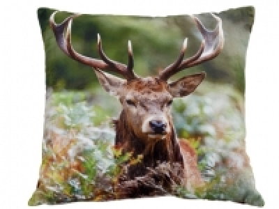 Coussin décoratif 5.99 €