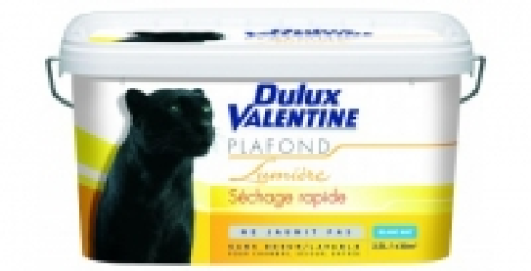 Peinture plafond blanc 2,5 L DULUX VALENTINE Plafond Lumière