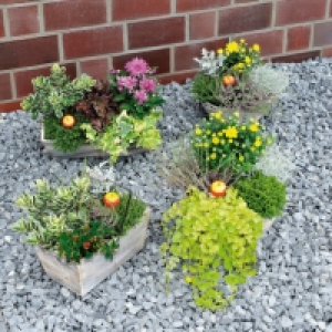 Composition florale 9.99 €