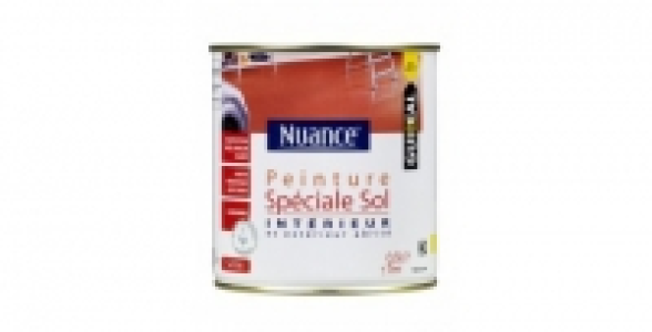 Peinture sol intérieur et extérieur abrité 0,5L gris foncé NUANCE