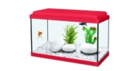Aquarium Nanolife Kidz 30 cm rouge 8L