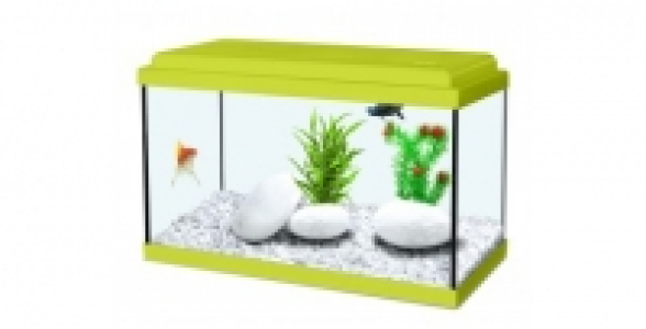 Aquarium Nanolife Kidz 30 cm vert 8L