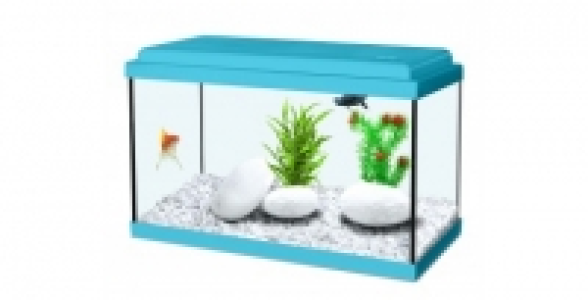 Aquarium Nanolife Kidz 30 cm bleu 8L