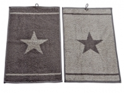 2 serviettes invité éponge