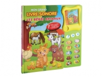 Livre sonore avec fonction enregistrement