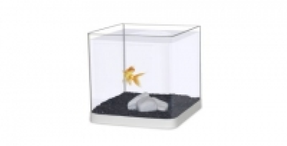 Aquarium bomb&eacute; 8 L