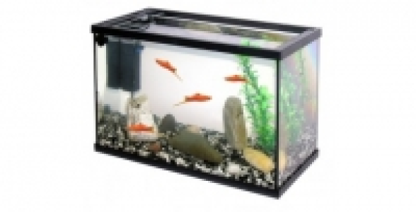 Aquarium &eacute;quip&eacute; 20 L 43.90&nbsp;&euro;