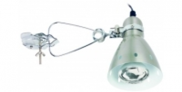 Spot pince 40W PAULMANN Candero