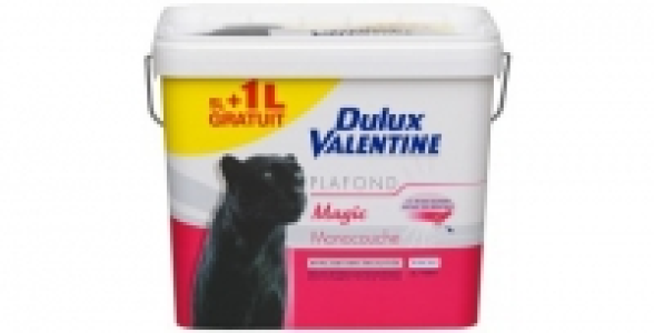 Peinture plafond blanc 5L+1L gratuit DULUX VALENTINE Plafond Magic