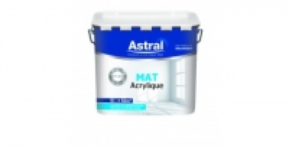 Peinture bicouche blanc mat 5L ASTRAL Ligne Professionnelle 40.50 €