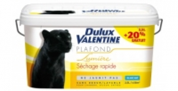 Peinture plafond blanc mat 2,5L+20% DULUX VALENTINE Plafond Lumière