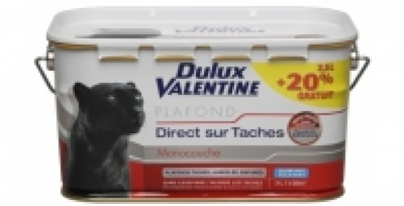 Peinture blanche 2,5L+20% DULUX VALENTINE Plafond Direct sur Taches