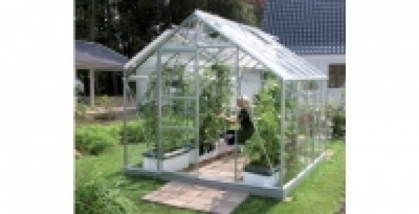 Serre de jardin en verre 8,25m&sup2; LAMS Merkur