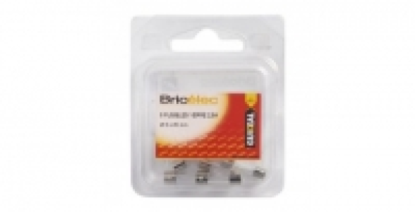 Bricomarche  5 fusibles verre 2,5A Ø5x20 mm BRICELEC